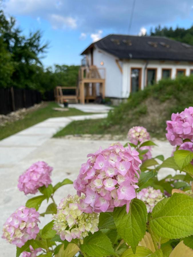 Casa Thymus Villa Soveja Exterior photo